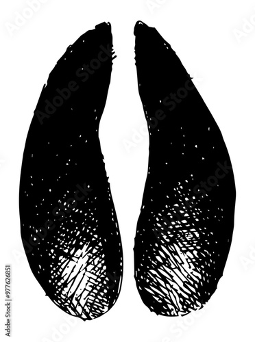Cow - paw print vector illustration