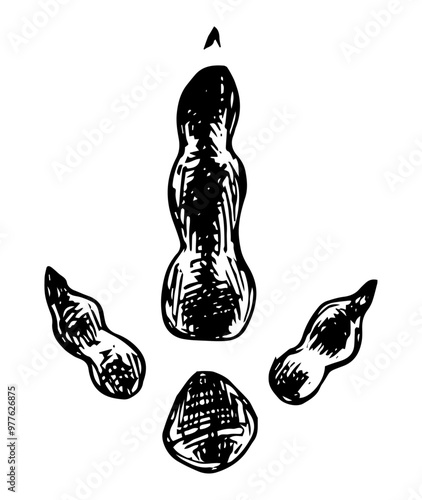 Emu - paw print vector illustration