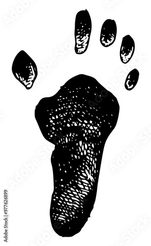 Chimpanzee - foot print vector illustration