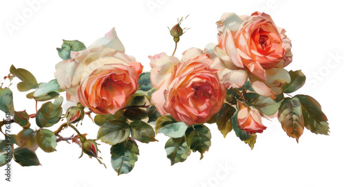 Fototapeta Naklejka Na Ścianę i Meble -  PNG  Roses painting roses art.
