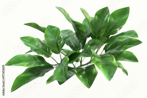 Green leaves of tropical plants bush. 3d render. isolated on white background 