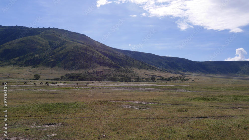 Magnifique paysage de Tanzanie, avec la savane qui s'étend à perte de vue. Et les montagnes en fond. Magnifique paysage de Tanzanie, avec la savane qui s'étend à perte de vue. Et les montagnes en fond.