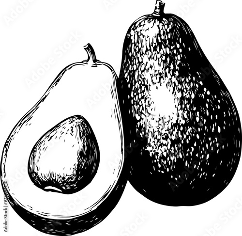 Vector Illustration of Whole and Halved Avocado