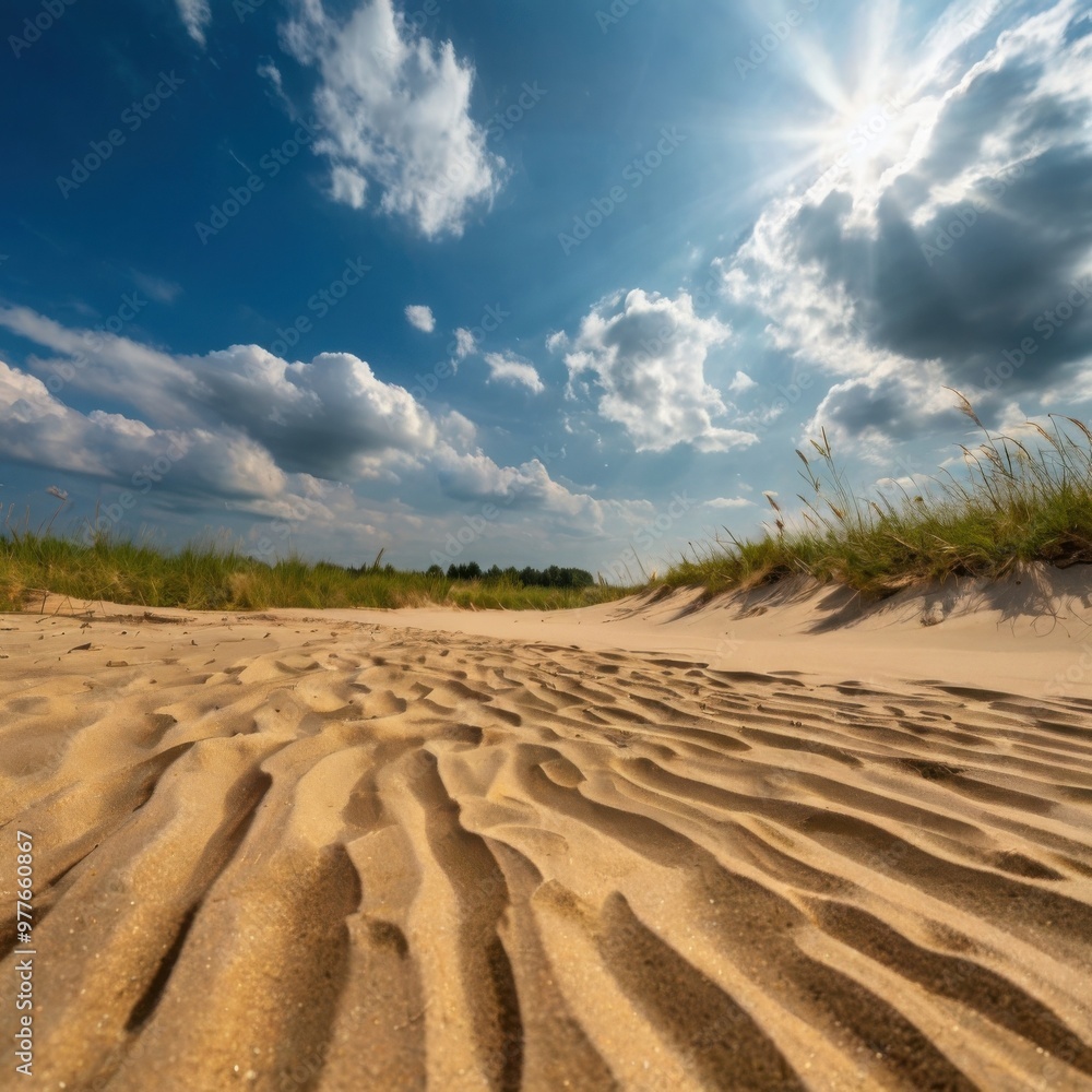 Fototapeta premium sand dunes in the desert