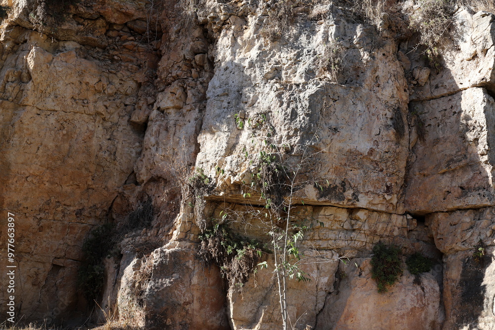 Texture and structure of stone and concrete. Natural background. Texture and structure of stone and concrete. Natural background.