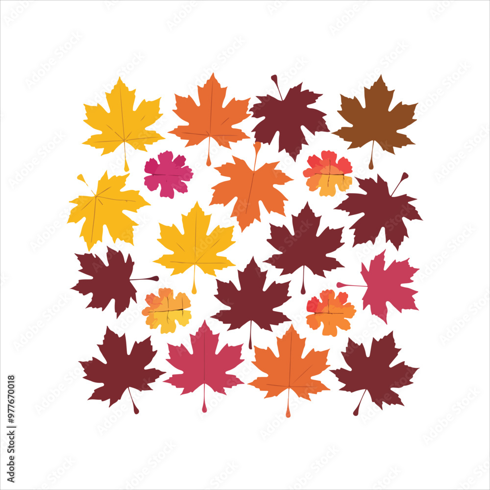 Design collection of maple leaves arranged on a white background. Design collection of maple leaves arranged on a white background.