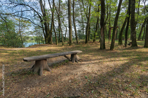 wooden bench in the park