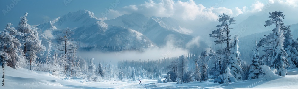 Obraz premium Snowy trees line a path through a snowy mountain range, nature background, banner, copy space