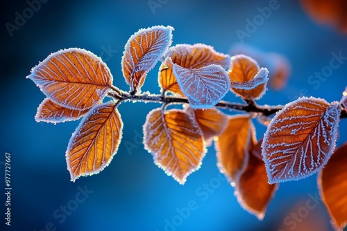 Winter nature landscape with delicate frost patterns forming on leaves and branches, sparkling in the early light