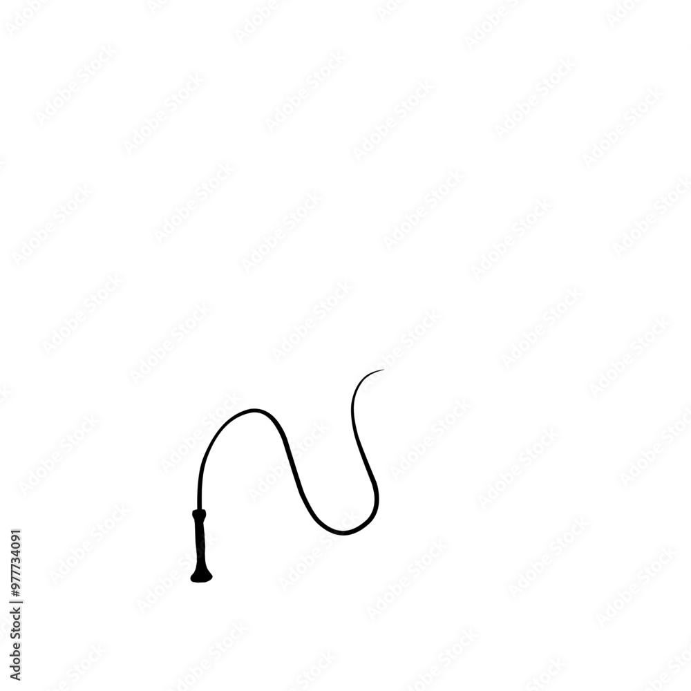 silhouette whip icon silhouette whip icon