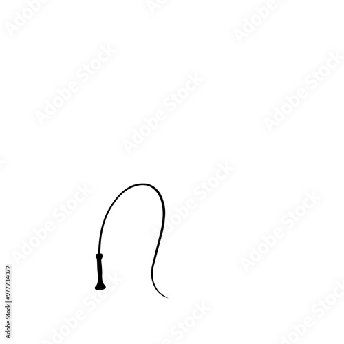 silhouette whip icon