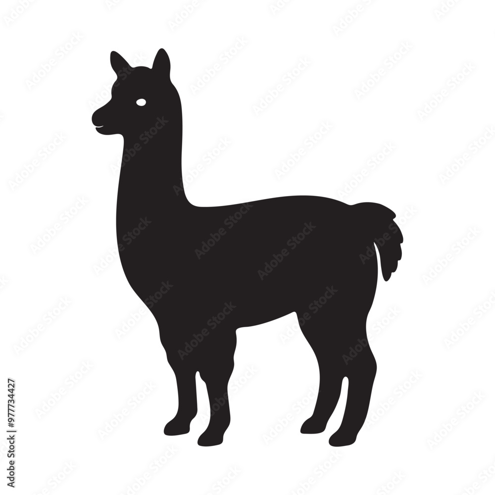 alpaca silhouette vector, black and white silhouette, vector and illustration alpaca silhouette vector, black and white silhouette, vector and illustration