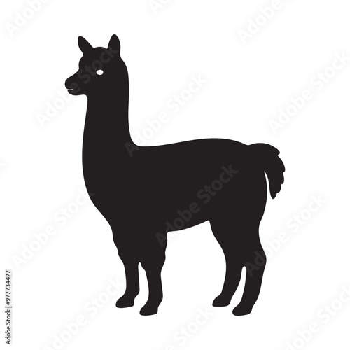 alpaca silhouette vector, black and white silhouette, vector and illustration