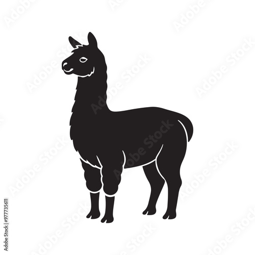 alpaca silhouette vector, black and white silhouette, vector and illustration