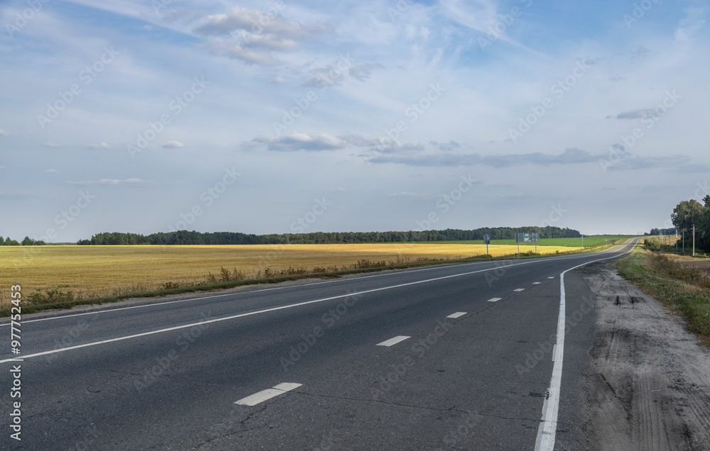 Fototapeta premium A long, empty road with a few trees in the background