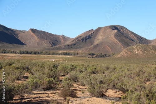 South African Safari