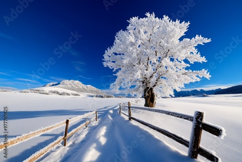 Winter nature landscape with hoarfrost covering every surface, turning the landscape into a winter wonderland photo