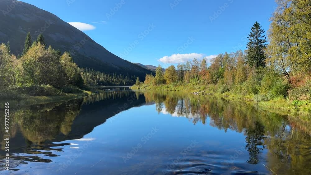 River with flowing water and reflection of yellow trees in autumn River with flowing water and reflection of yellow trees in autumn