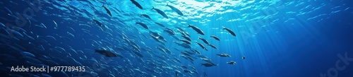 background with schools of fish