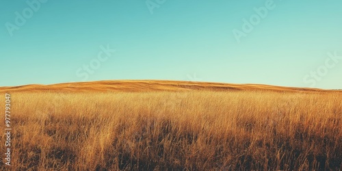 Autumn grassland landscape with golden hues under a clear blue sky