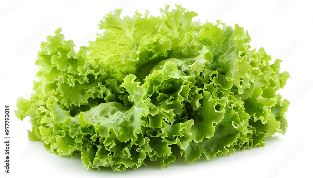 Fresh green iceberg lettuce isolated on white Fresh green iceberg lettuce isolated on white