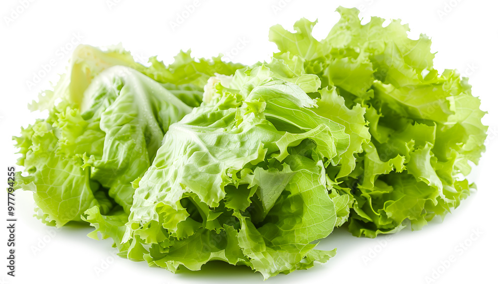 Fresh green iceberg lettuce isolated on white Fresh green iceberg lettuce isolated on white