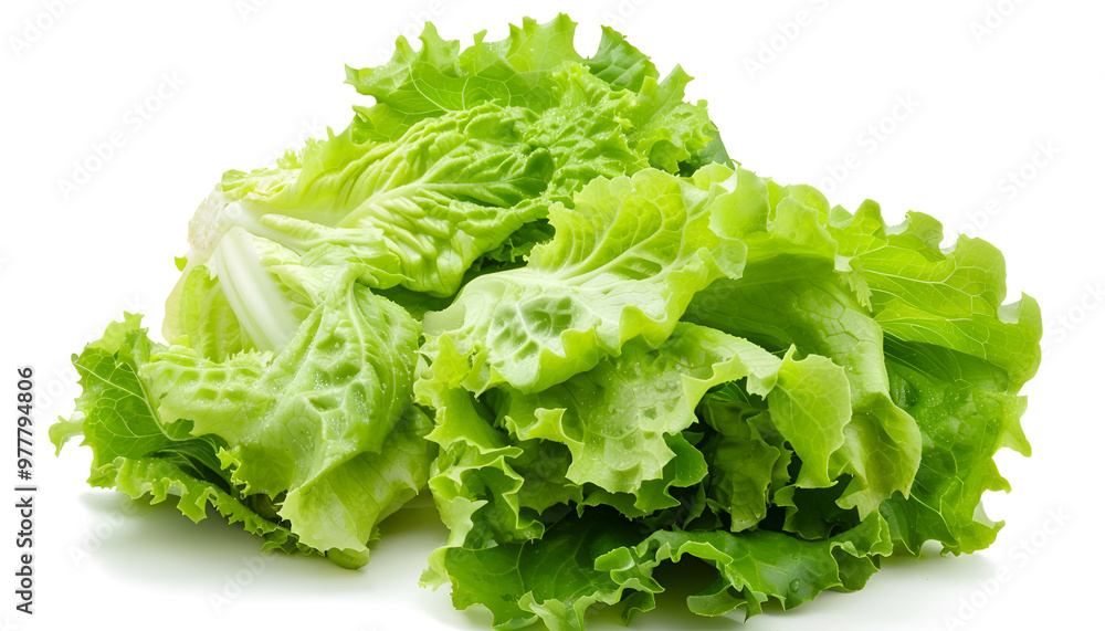 Fresh green iceberg lettuce isolated on white Fresh green iceberg lettuce isolated on white