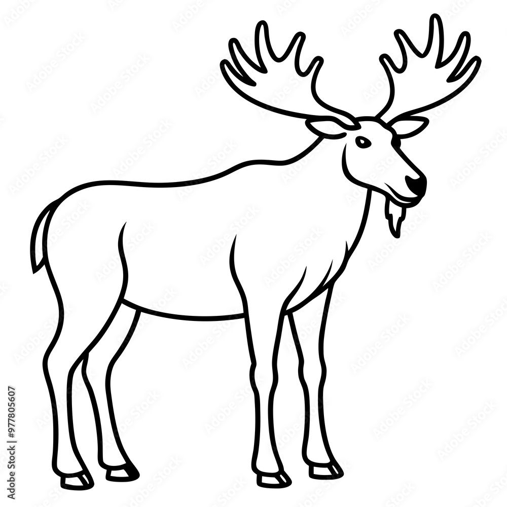 Moose standing tall with large, sprawling antlers and a calm stance vector Moose standing tall with large, sprawling antlers and a calm stance vector