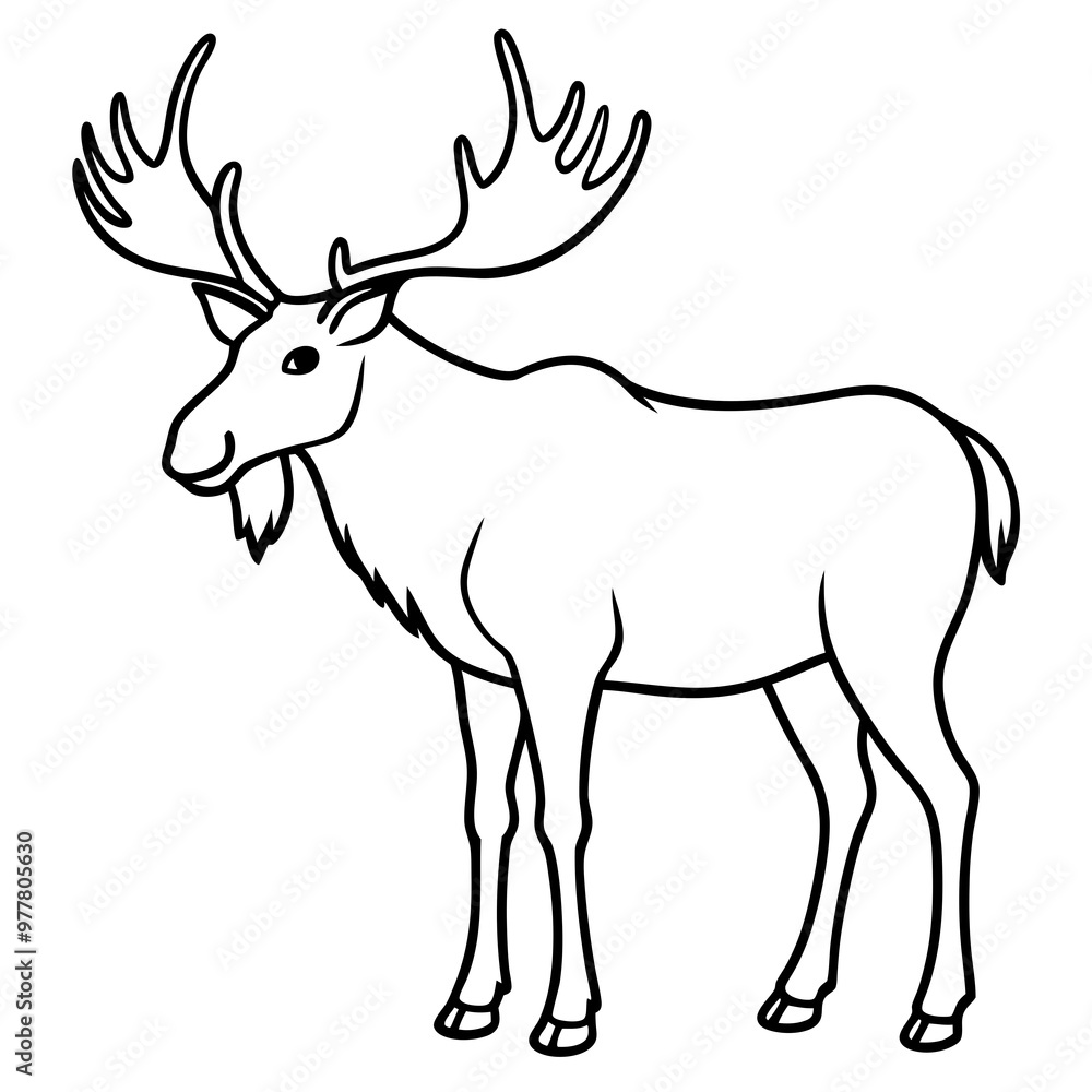 Moose standing tall with large, sprawling antlers and a calm stance vector Moose standing tall with large, sprawling antlers and a calm stance vector