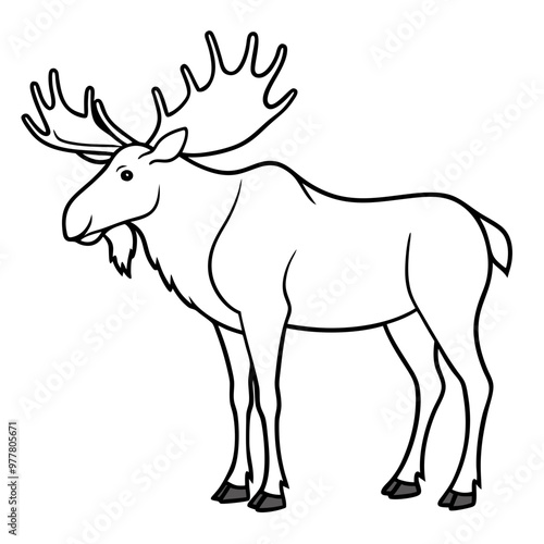 Moose standing tall with large, sprawling antlers and a calm stance vector