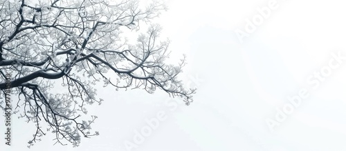 Wallpaper Mural Side view portrait of a self assured businessman gazing at the camera. Copy space image. Place for adding text and design Torontodigital.ca