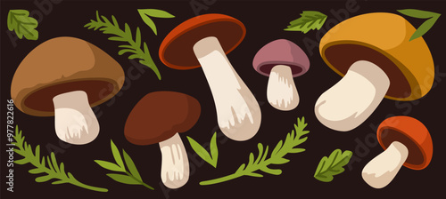 Vector set of bright mushrooms and forest green branches on dark brown background