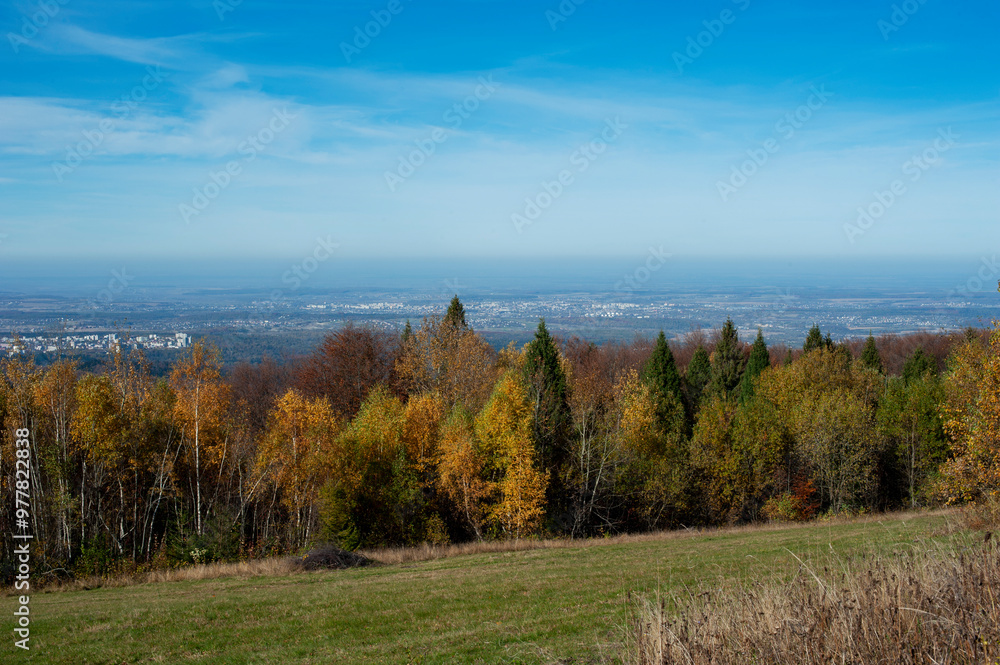 A scenic view of mountain peaks under the sun on a forest ridge on a mountainside with golden aspens and bright autumn colors creating a virtual color palette.