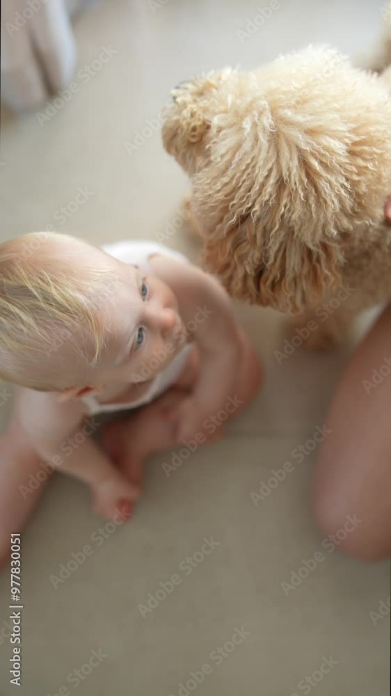Cherished and Treasured Moments Baby and Dog Together, Creating Beautiful Memories Cherished and Treasured Moments Baby and Dog Together, Creating Beautiful Memories