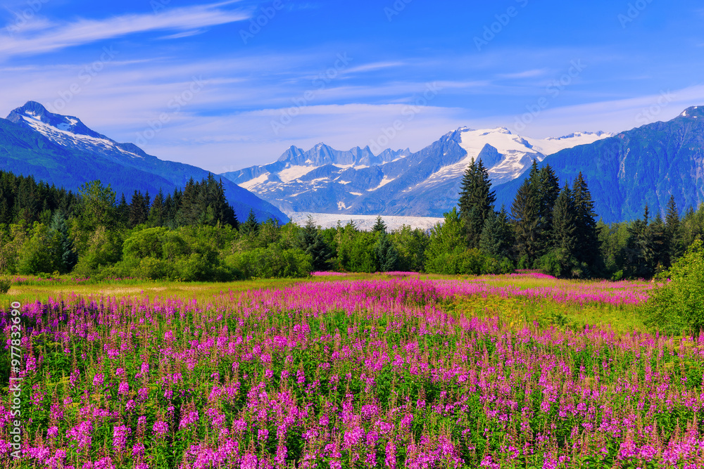 Juneau, Alaska. Mendenhall Glacier Viewpoint.