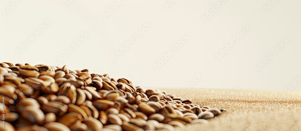 Obraz premium Coffee seeds. Copy space image. Place for adding text and design