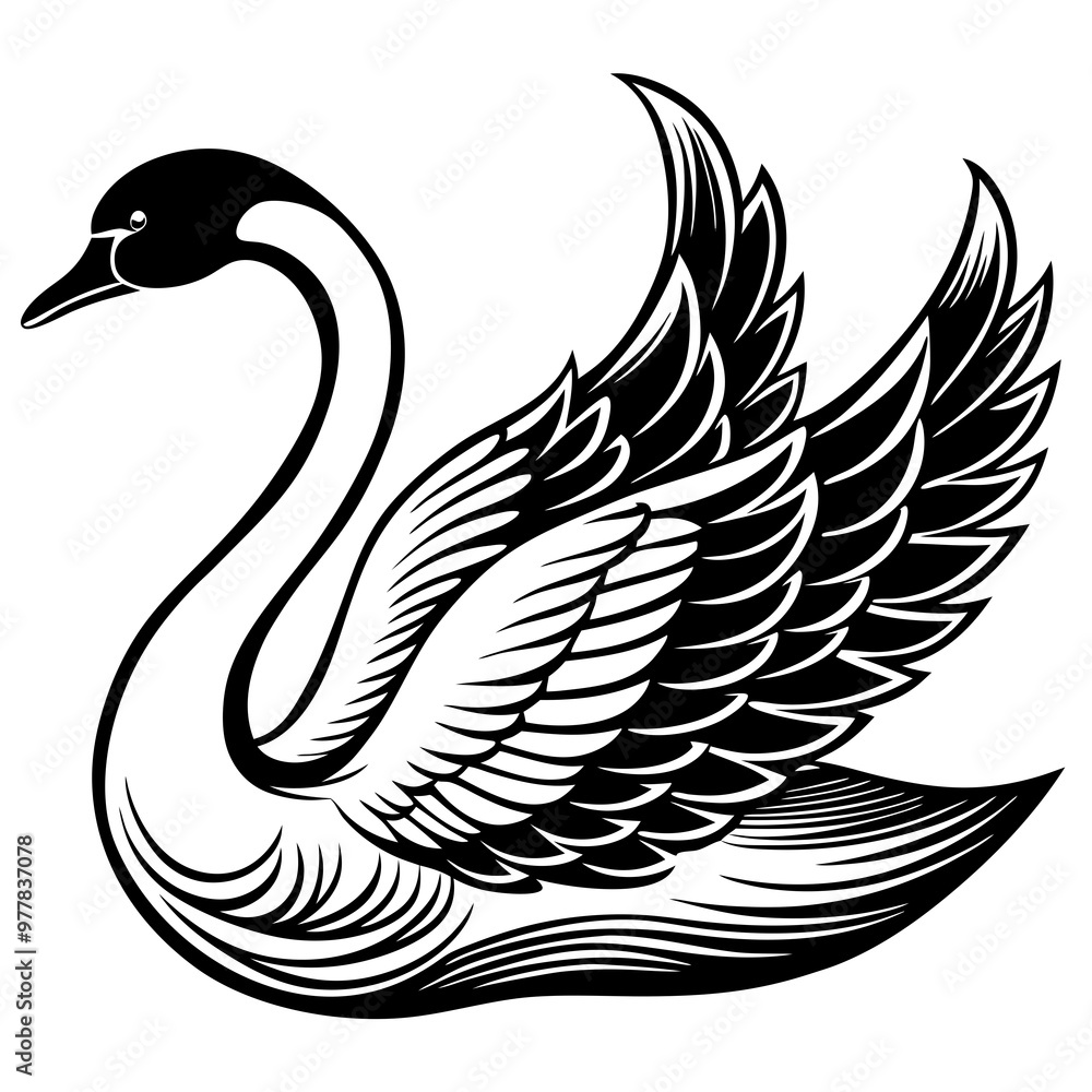 Fototapeta premium Swan gliding on water with detailed feather patterns and graceful lines vecto