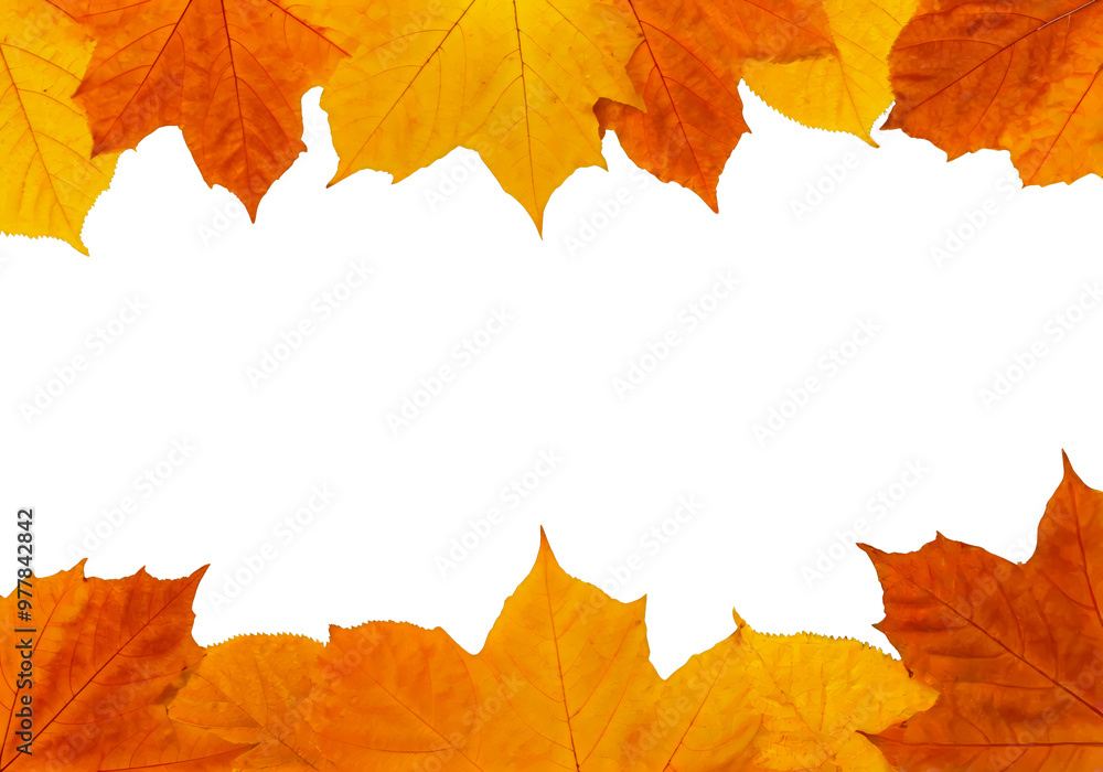 autumn falling leave isolated on white or transparent png cut off clip art autumn falling leave isolated on white or transparent png cut off clip art