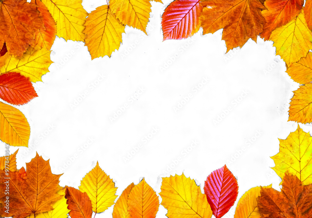autumn falling leave isolated on white or transparent png cut off clip art autumn falling leave isolated on white or transparent png cut off clip art