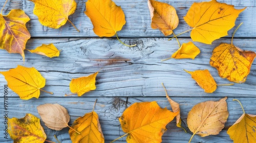Autumn leaves on a wooden background
