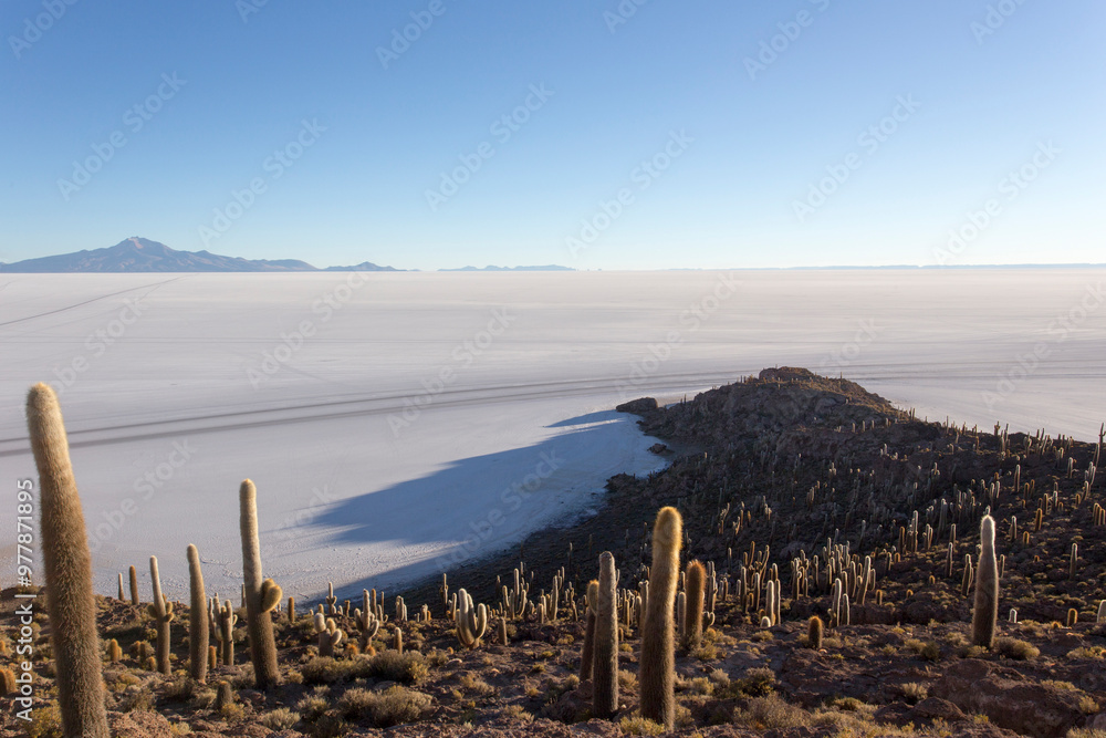 Fototapeta premium A photo of salt flat in Uyuni