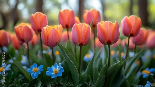 an Spring flowers in full bloom with vibrant colors and fresh, seasonal beauty.