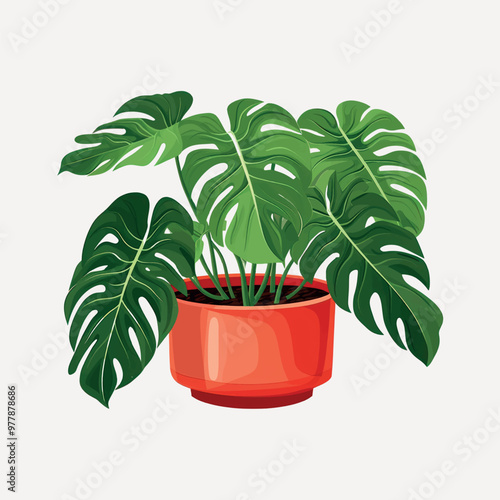Vibrant potted monstera plant illustration