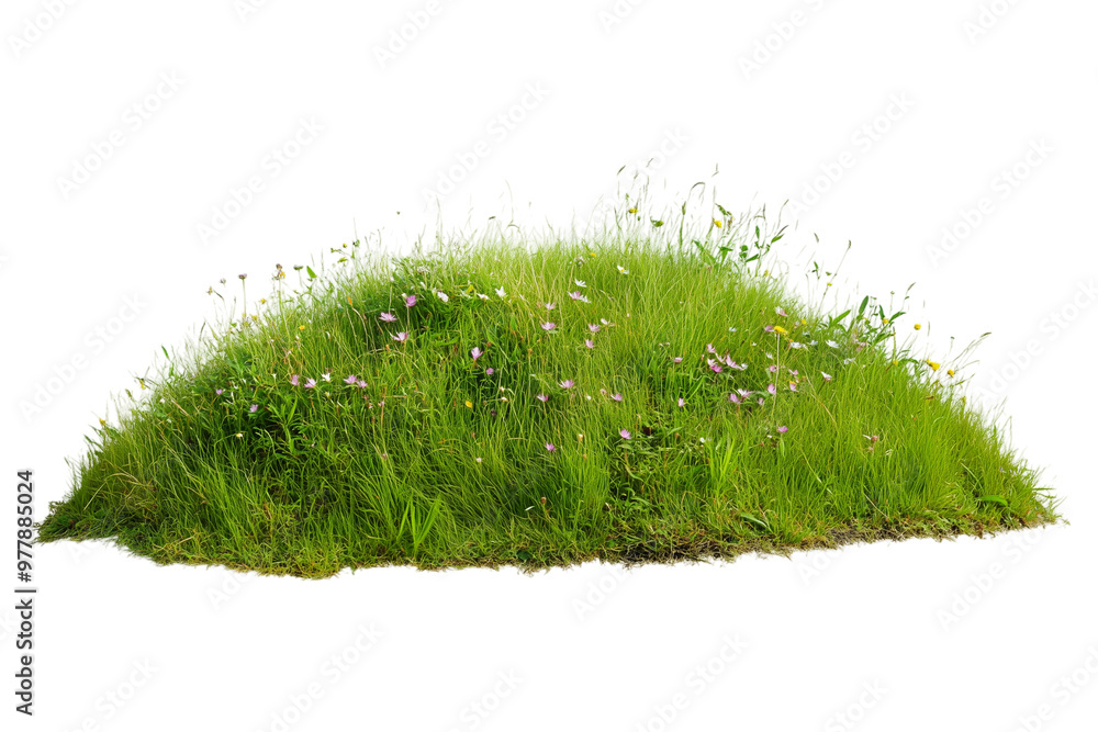 Naklejka premium Grass Hill with Small Pink and White Wildflowers - Isolated on White Transparent Background, PNG 