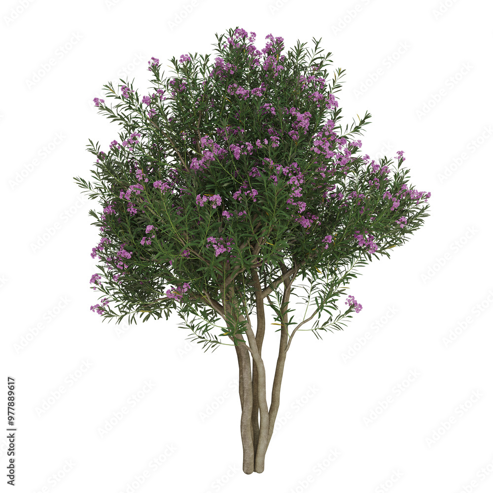 Fototapeta premium 3d render model tree collection