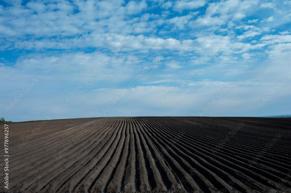 Panorama of plowed field in spring, planting potatoes Panorama of plowed field in spring, planting potatoes