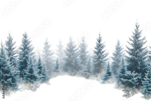 winter season forest nature trees