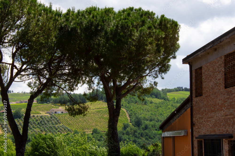 Superb villa in an Italian vineyard in the Emilia-Romagna region Superb villa in an Italian vineyard in the Emilia-Romagna region