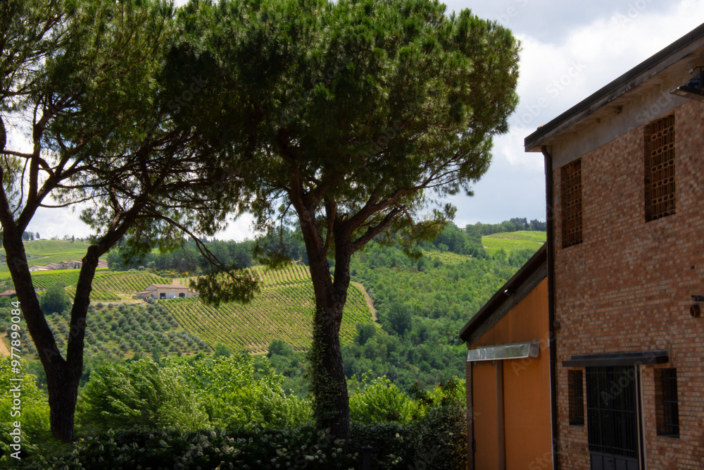 Superb villa in an Italian vineyard in the Emilia-Romagna region Superb villa in an Italian vineyard in the Emilia-Romagna region