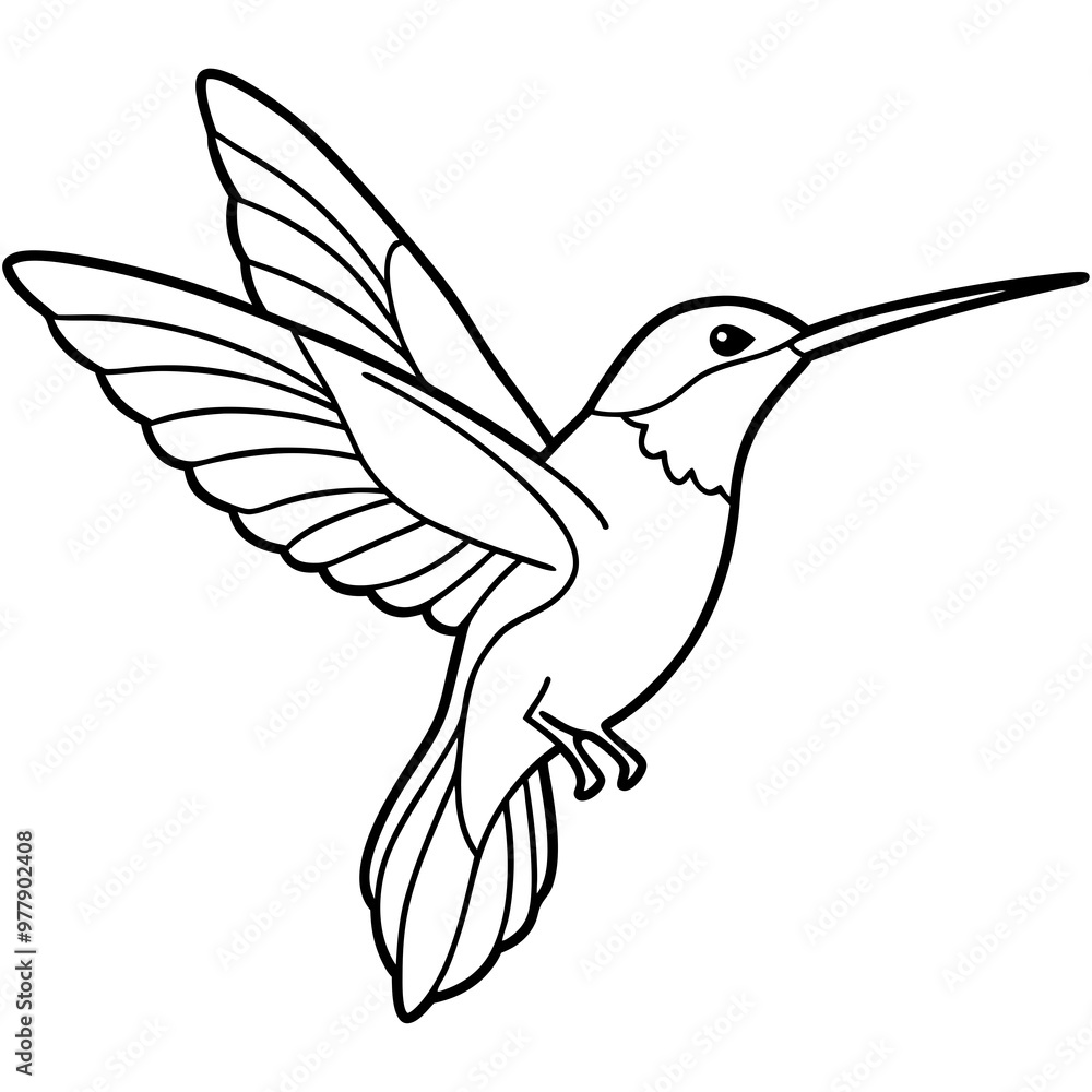 Hummingbird hovering with detailed wings and a delicate beak line art vector Hummingbird hovering with detailed wings and a delicate beak line art vector